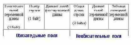 MS SQL Server  
